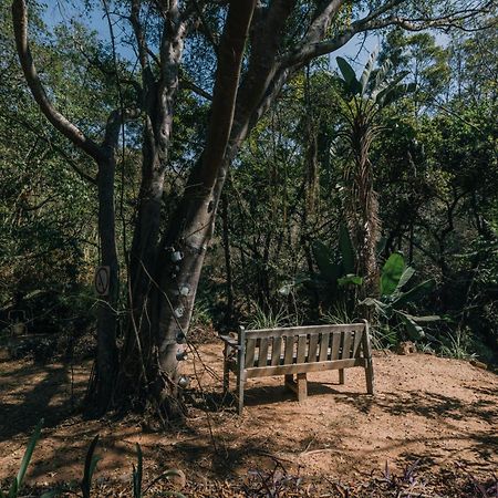 Beetleloop Guest House Νέλσπρουιτ Εξωτερικό φωτογραφία