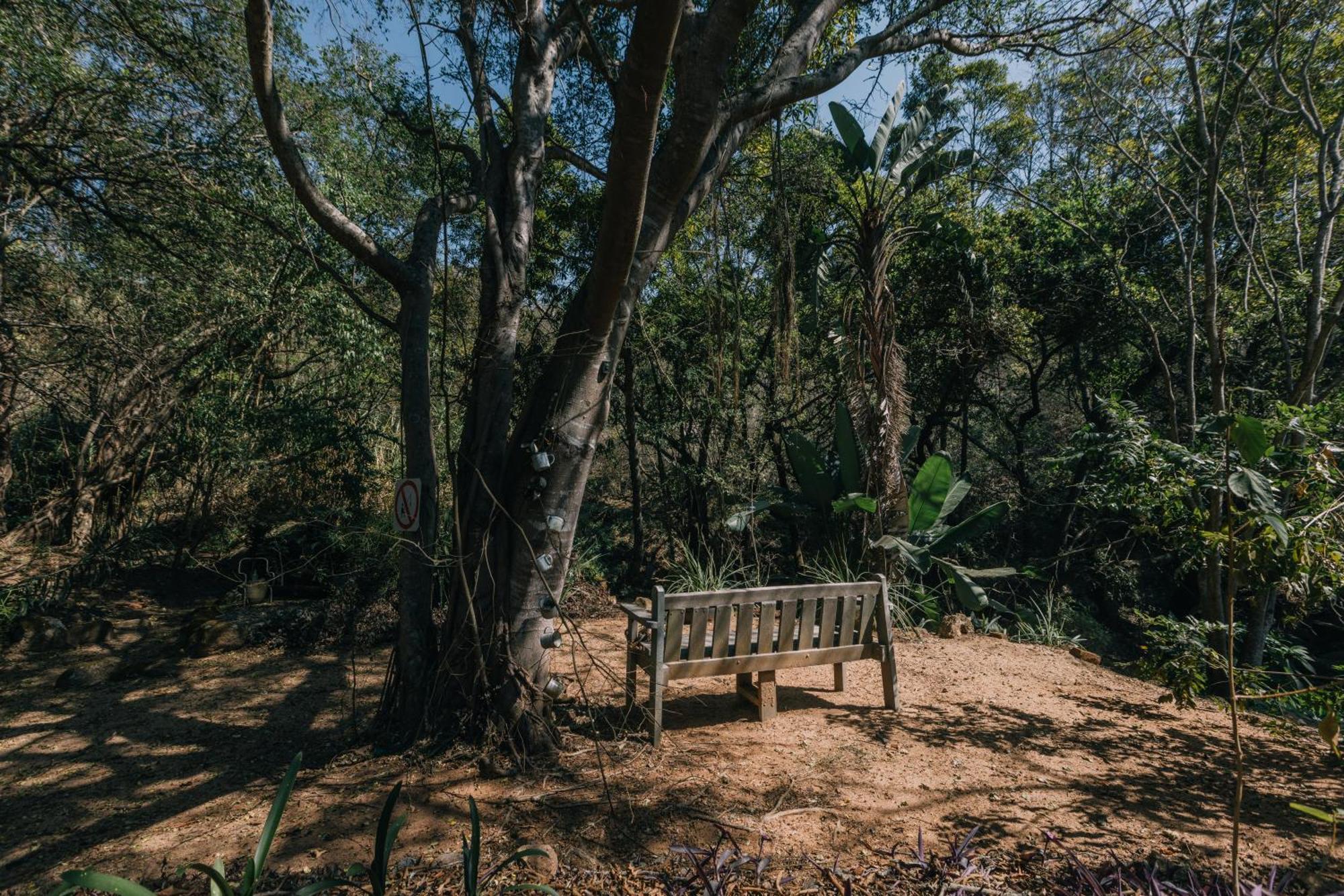 Beetleloop Guest House Νέλσπρουιτ Εξωτερικό φωτογραφία