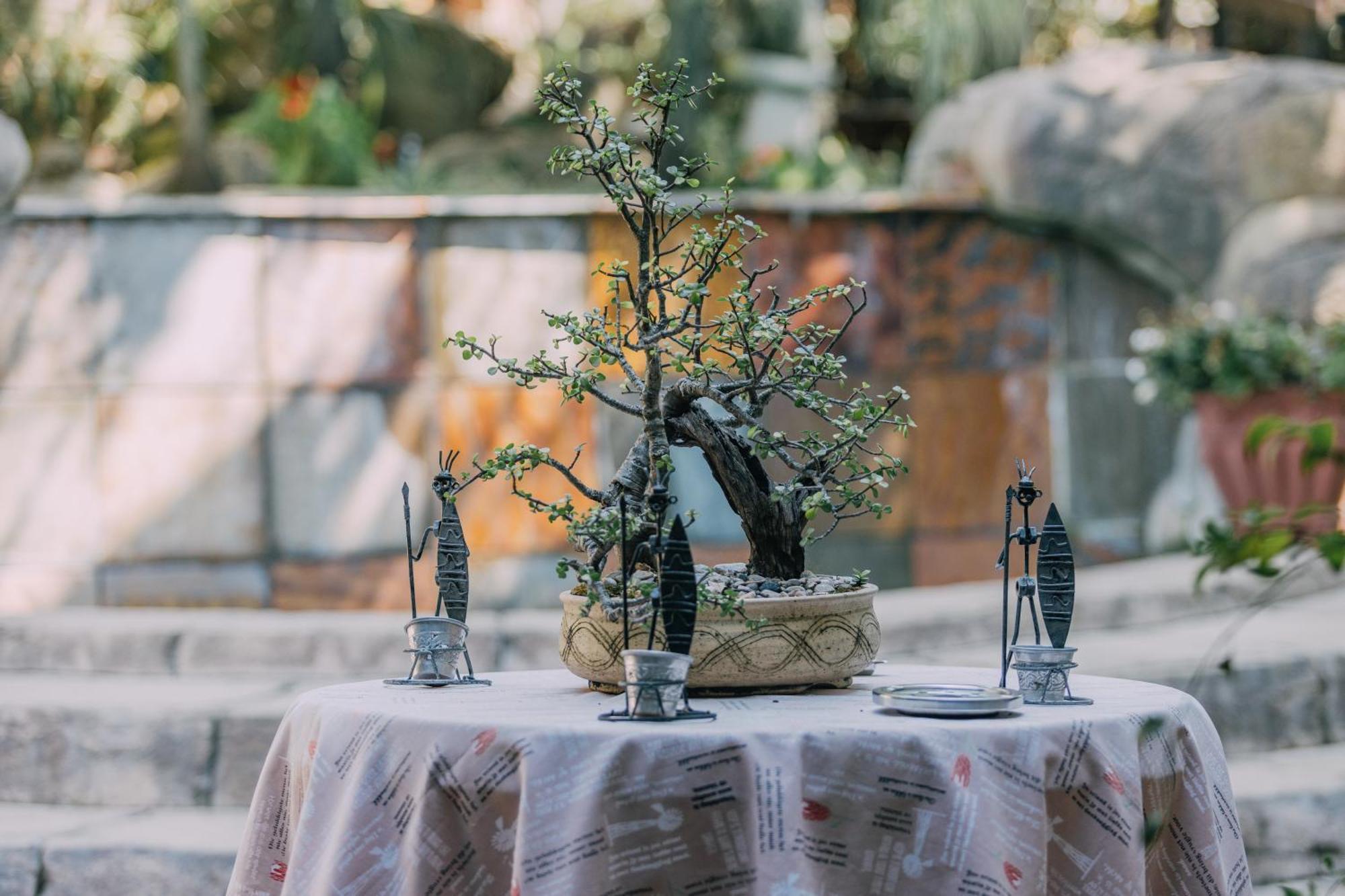 Beetleloop Guest House Νέλσπρουιτ Εξωτερικό φωτογραφία