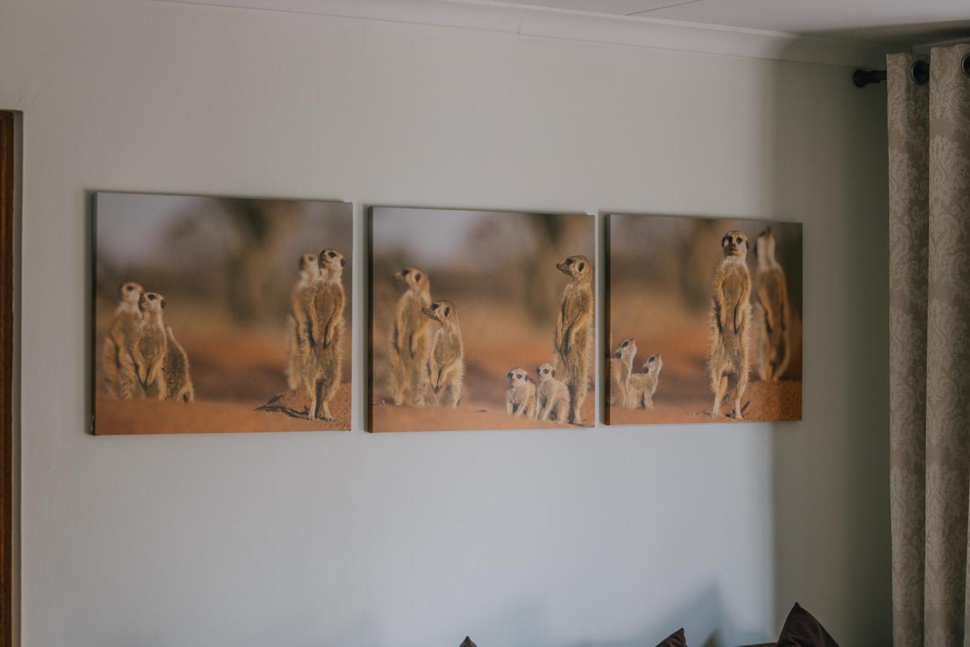 Beetleloop Guest House Νέλσπρουιτ Εξωτερικό φωτογραφία