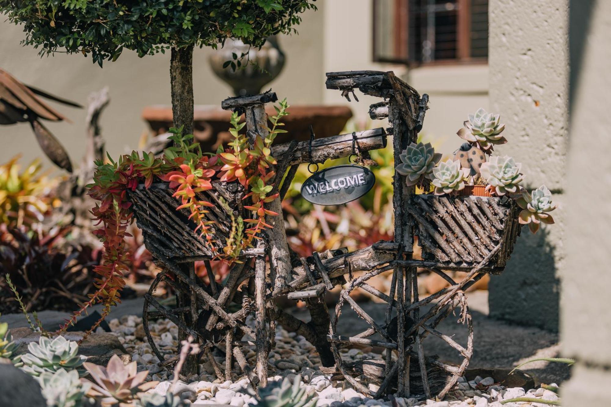 Beetleloop Guest House Νέλσπρουιτ Εξωτερικό φωτογραφία
